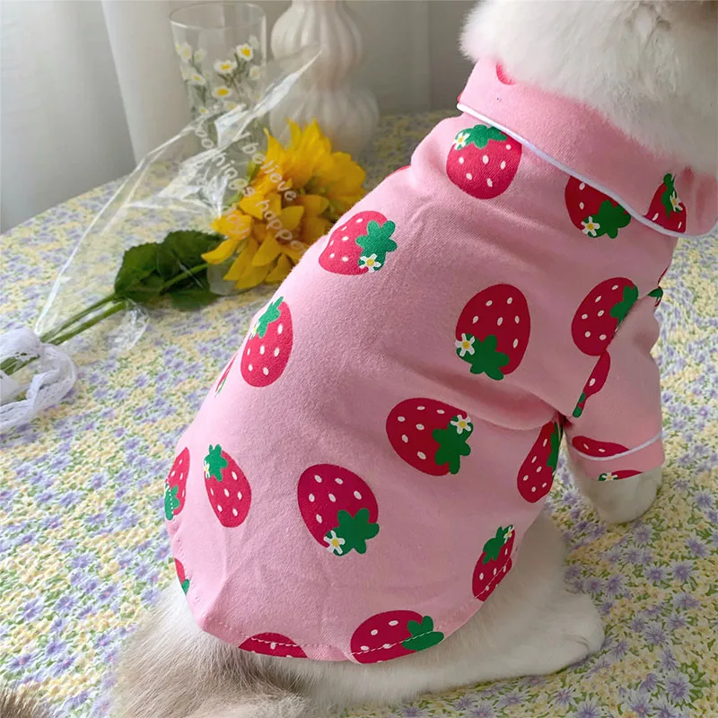 Spring Cat Costume Cute Cozy Pet Clothes for Cats 2022 Hoodie Sweatshirt Cat Sweater Pets Clothing Outfit