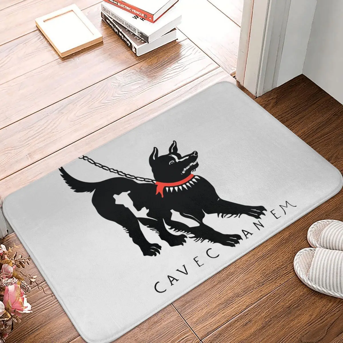 

Anti-Slip Doormat Kitchen Mat Cave Canem Beware Of Dog Hallway Carpet Welcome Rug Bedroom Decorative