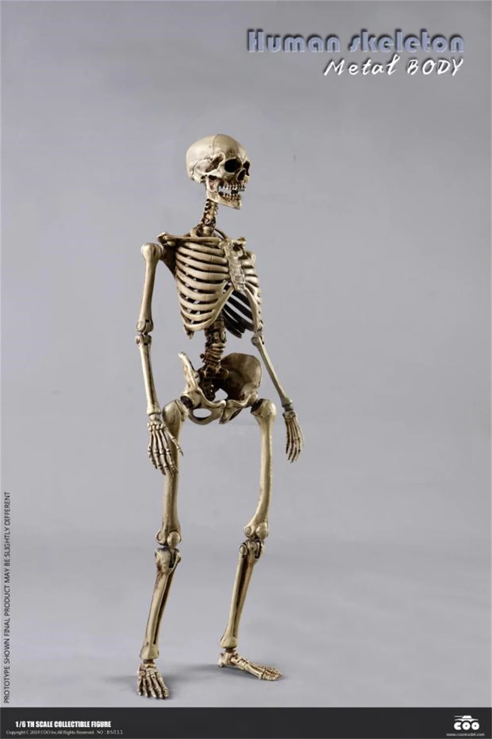 

1/6 COOMODEL BS011 человеческий скелет, металлическая фигурка тела, модель для 12 дюймов, экшн-фигурка, кукла, игрушка, солдат, хобби, игрушки
