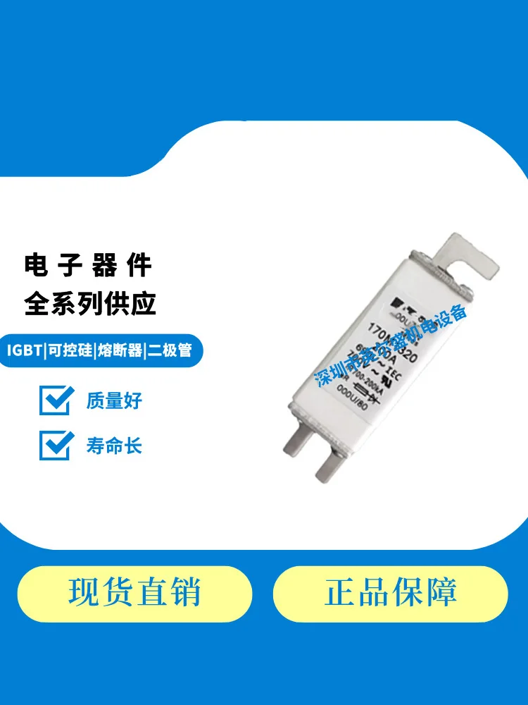 

170M1320 200A690V