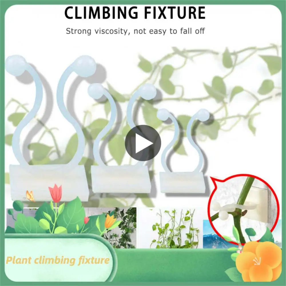 

1pcs/lot Invisible Wall Rattan Clamp Clip Plant Climbing Wall Clip Wall Vines Fixture Wall Sticky Hook Holder fixed clip bracket