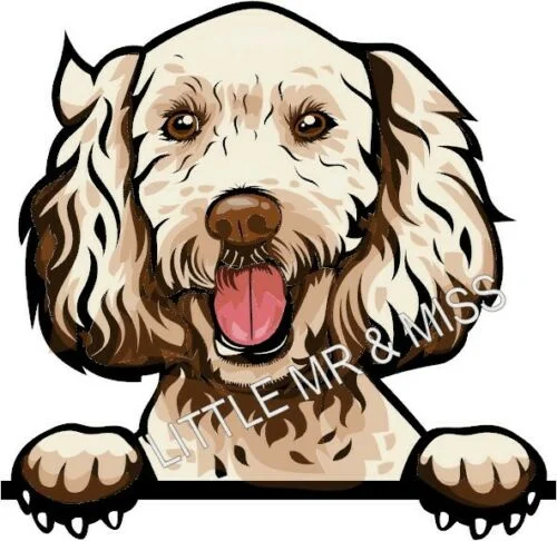 

For LABRADOODLE Peeking Dog Breed Colour Window Wall Laptop Sticker w/proof