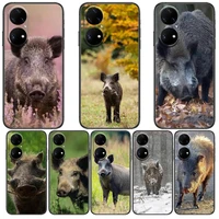 wild boar animal phone case for huawei p50 p40 p30 p20 10 9 8 lite e pro plus black etui coque painting hoesjes comic fas