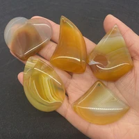 natural stone agate charms ginkgo biloba necklace pendant wolf tooth shape pendant jewelry diy making earrings sweater charms
