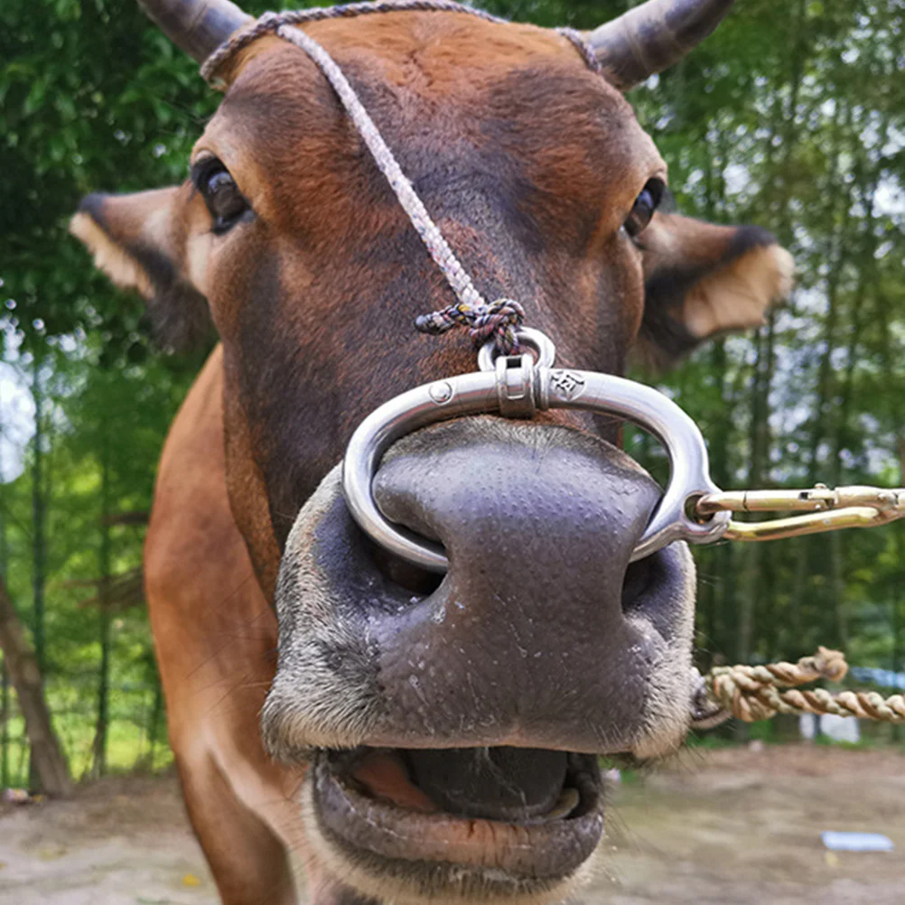 

Nose Rings Farmhouse Decorative Cattle Traction Accessory Medium Supplies Stainless Steel Clamp Cow Circle Metal