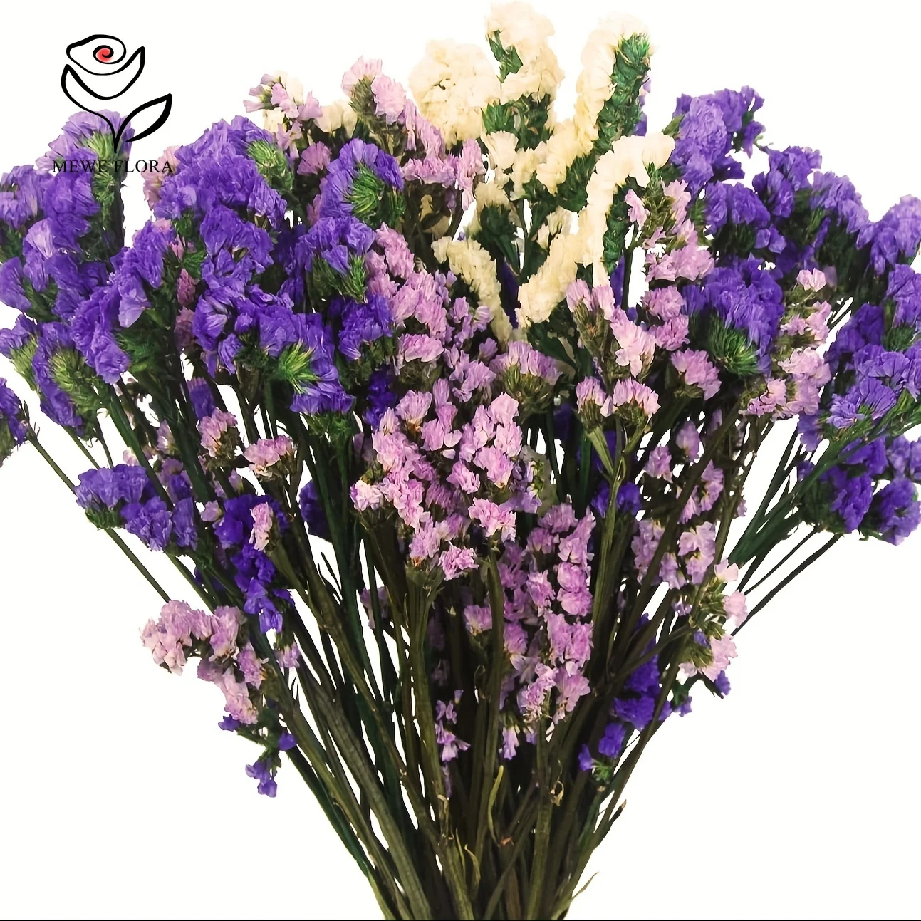 מאגר הקופונים הסודי של עליאקספרס! 300+ קופונים למוצרים מבוקשים! 1640