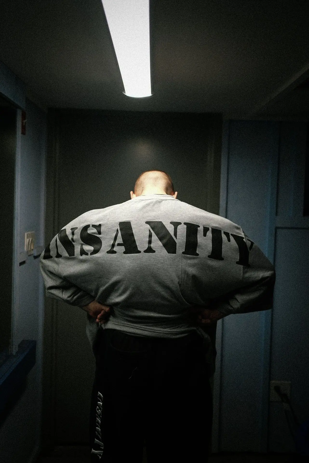 Фото Мужская очень большая футболка с управлением Insanity для тренажерного зала, фитнеса, тренировок, бега — быстросохнущая №3