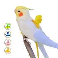 2m adjustable bird parrot harness leash kit outdoor flying training rope with wing for small medium bird cockatiel budgie oiseau
