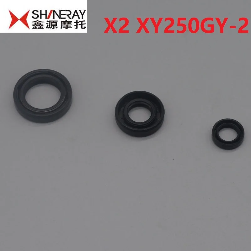 Комплект двигателя shineray x2 x2x 250cc xy250gy полный комплект масляного уплотнения