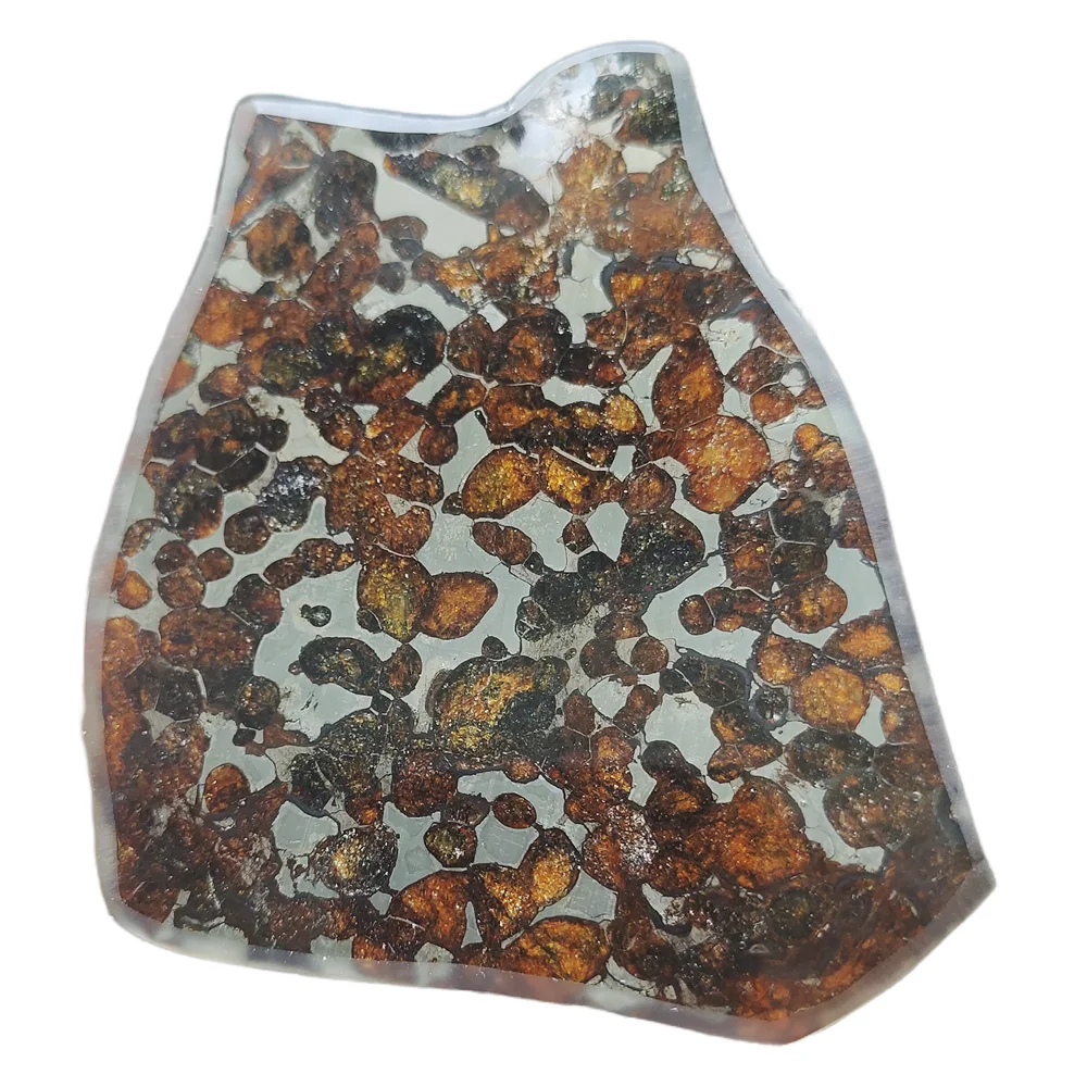 

54.1g SERICHO Pallasite Olive Meteorite Specimen Olive Meteorite Slice Collect - From Kenya - CA28