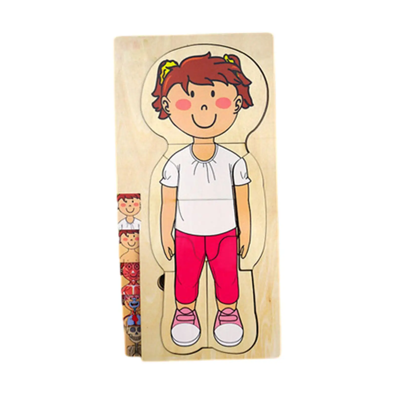 

Human Body Puzzle Body Parts Puzzle for Toddlers Preschool Holiday Gifts