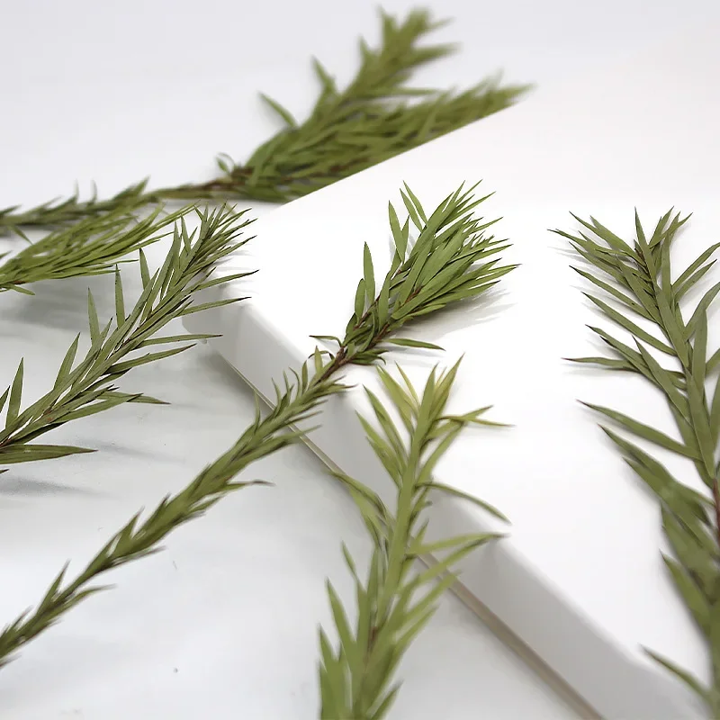 Натуральные прессованные мягкие сухие цветы рельефные натуральные листья