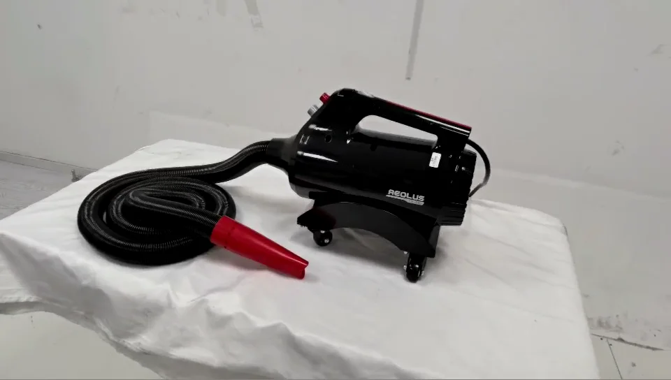 

AEOLUS CB-941GT 2400 Вт одномоторная сушилка, автомобильная воздуходувка, сушилка для мытья автомобиля без касания