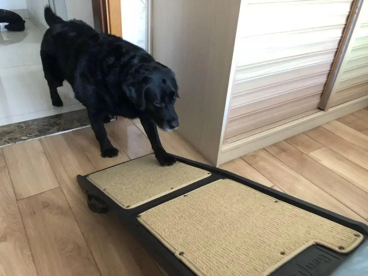 Эскалация для массажа плиссированная гофрированная дорога больших собак