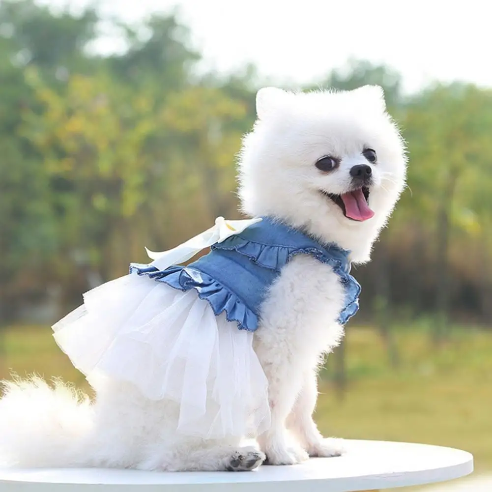 

Dog Dress Stylish Pullover Comfortable Summer Dog Two-legged Clothes for Spring Puppy Dress Dog Dress