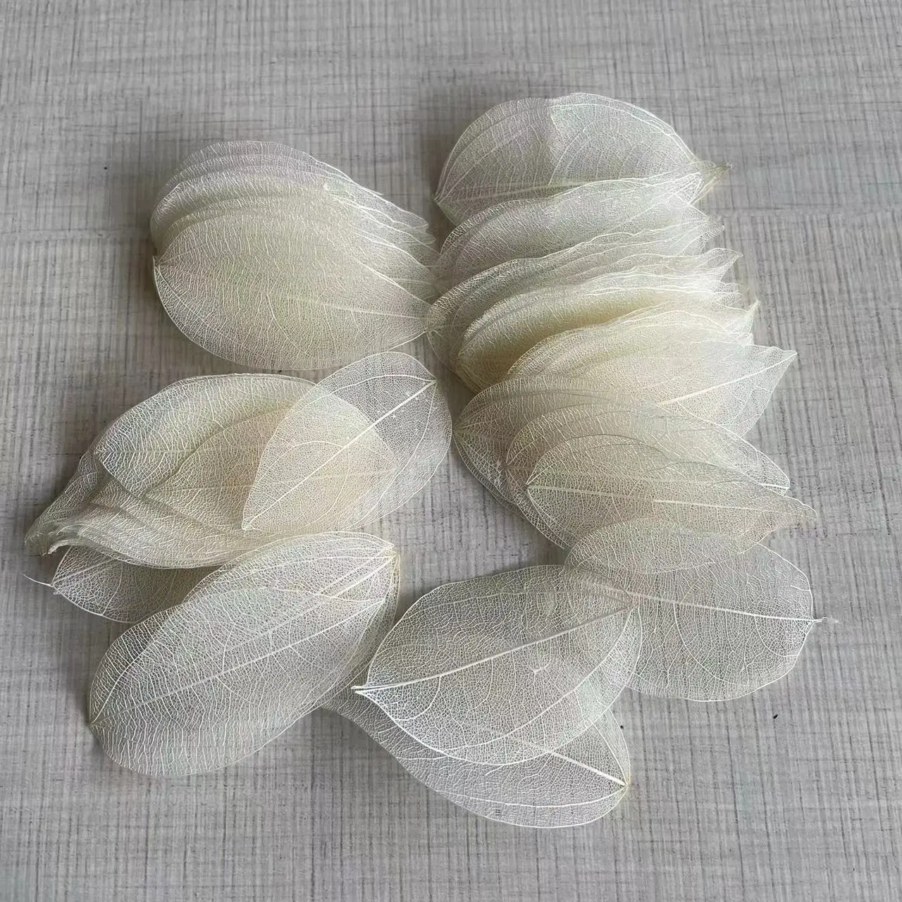 

Сушеные листья ваджры NYAConfetti