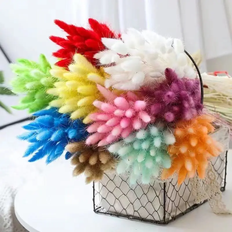 

100pcs Bunny Tails Dried Fluffy Flower Pampas Grass Boho Home Wedding Decoration Small Dried Fowers for Craft Dry Flowers