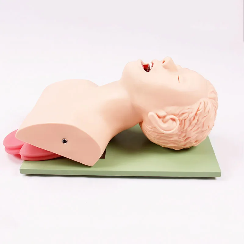 Модель для обучения эндотрахеальной интубации взрослых с сигнализацией