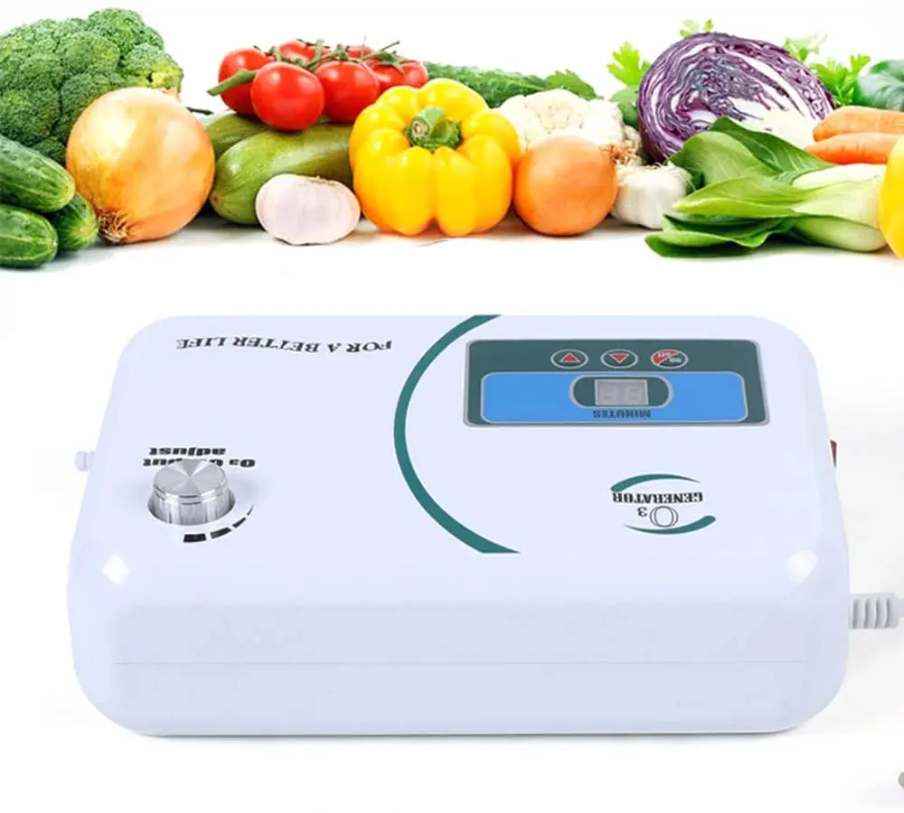 Water Food Sterilizer 110v 200-500mg/h