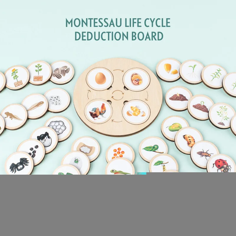 

New Montessori Animals Life Cycle Board Set Lifestyle Stages Kids Teaching Tools Animal Growth Cycle Educational Open-ended Toys