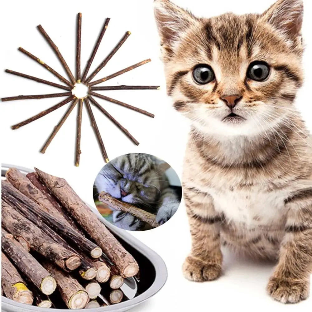 

Cat Toys Catnip Chew Kitten Toys Wooden Stick Teething Molar Toys Suitable for All Ages Cats