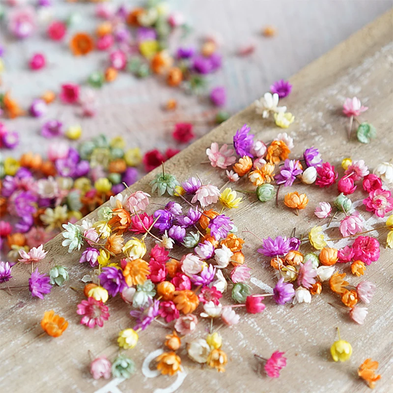 140/280pcs Dried Flowers Little Star Flower Head DIY Craft Epoxy Resin Candle Making Jewellery Home Party Decor Press Flowers