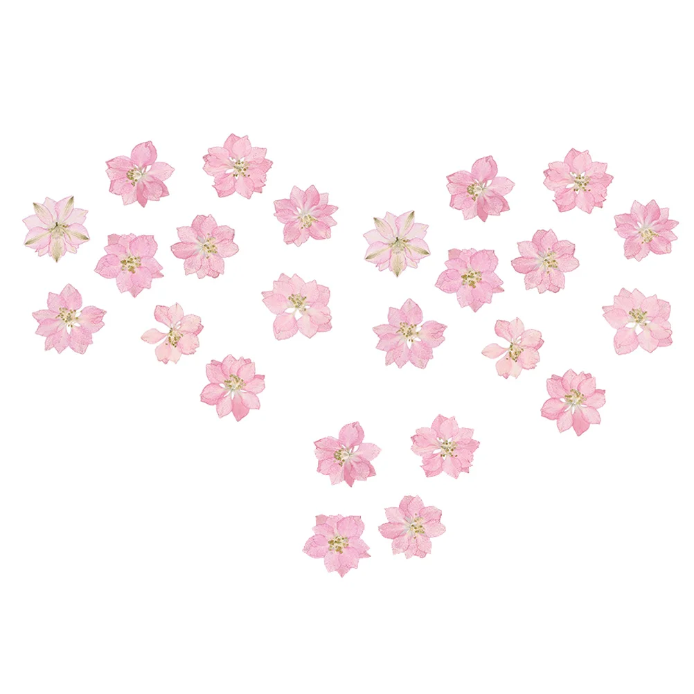 

24 Pcs Pressed Dried Leaf Nail Kits DIY Flower Press Kit Natural Pressed Flowers Crafts Nail Embellishments