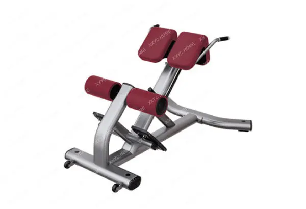 

Roman Chair Dorsal Muscle Extension Back Hyperextension Lumbar Dorsal Muscle Roman Chair decor home accessories