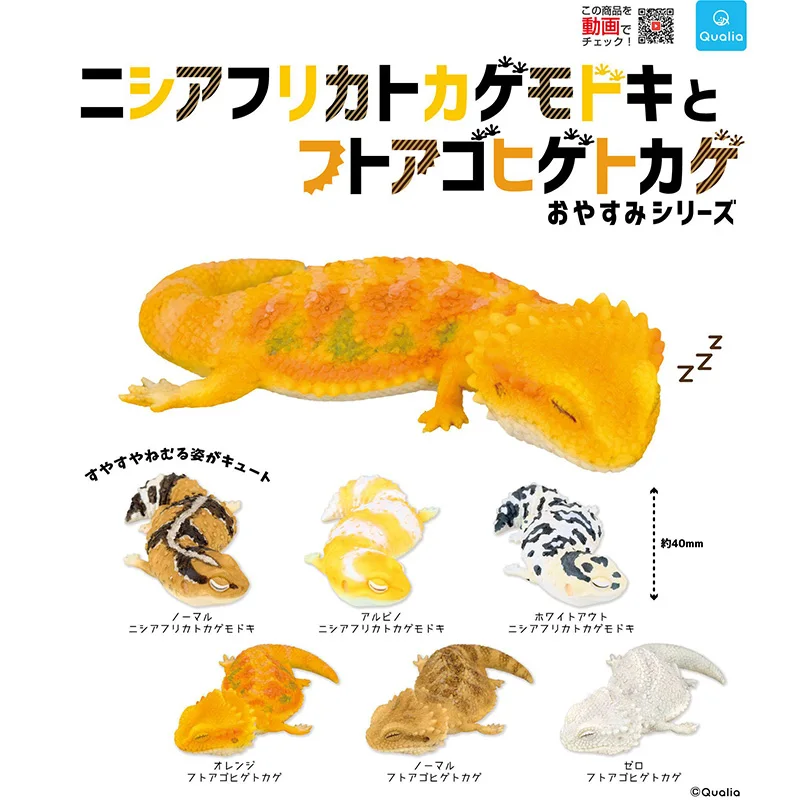 

Gachapon Capsule Toy Qualia Gashapon Sleep Hemitheconyx Caudicinctus Gecko Crawl Animal Figurine Bearded Dragon Model Ornaments