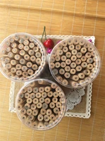 50pcs wood color round rod 17 6cm pencils hb nontoxic wholesale free shipping