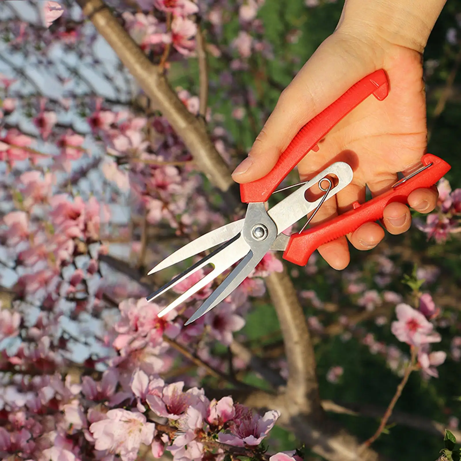 

Agriculture Thinning Scissors Fruit and Flower Shears Comfort for Herbs