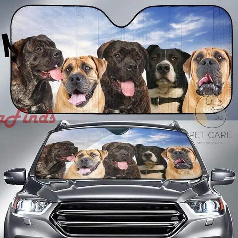 

Автомобильный солнцезащитный козырек Boerboel, Лучшие идеи для подарка, 2022