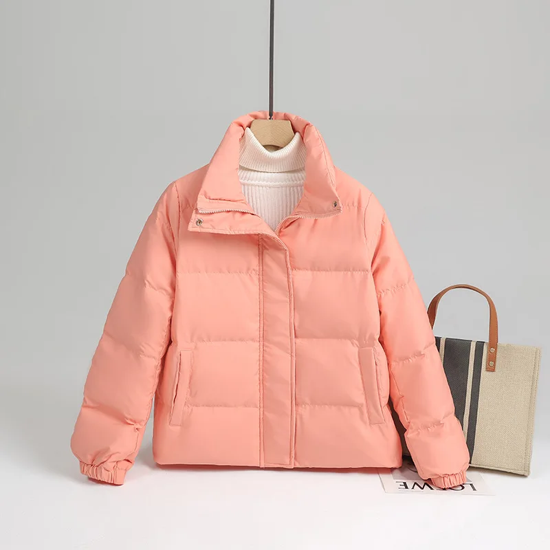 Standing Collar Short Jacket Woman Winter 2023 Oversize Thin Down Demi-season Parka New In Outerwear Spring Padded