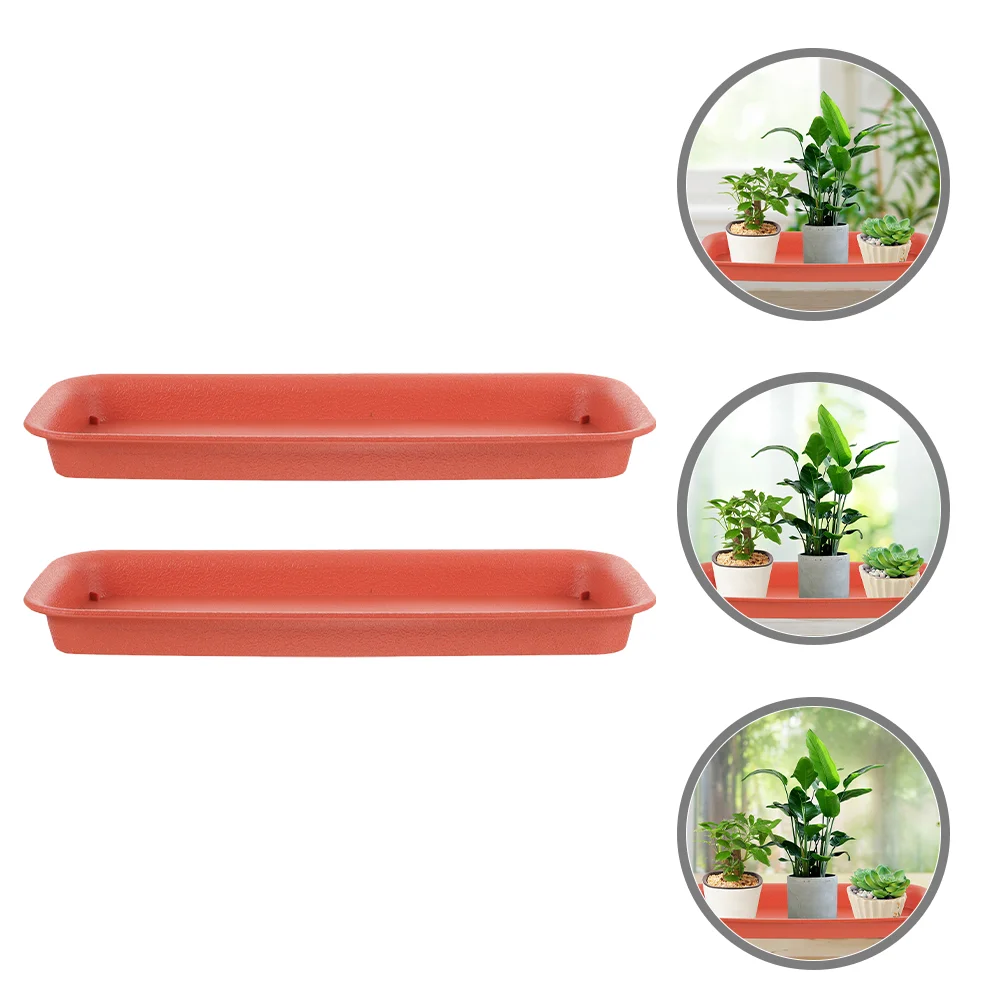 

2 Pcs Flower Pot Tray Plastic Plants Plates Catch Water Indoor Juicy House Pots Saucers Trays