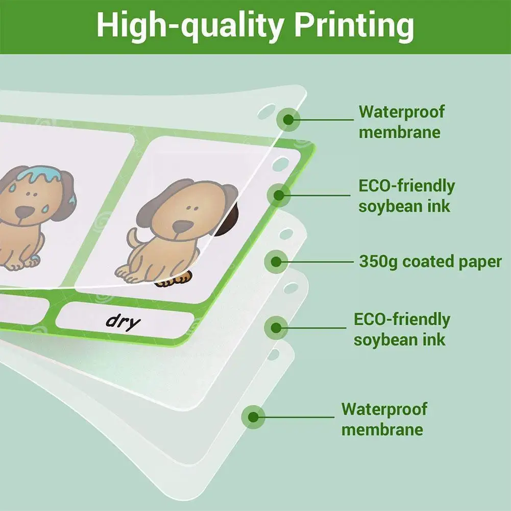 

Baby Learn English Word Card Flashcards Synonyms Educational Words Daily Flashards Cognitive Life Picture Learning Behavior U0m5