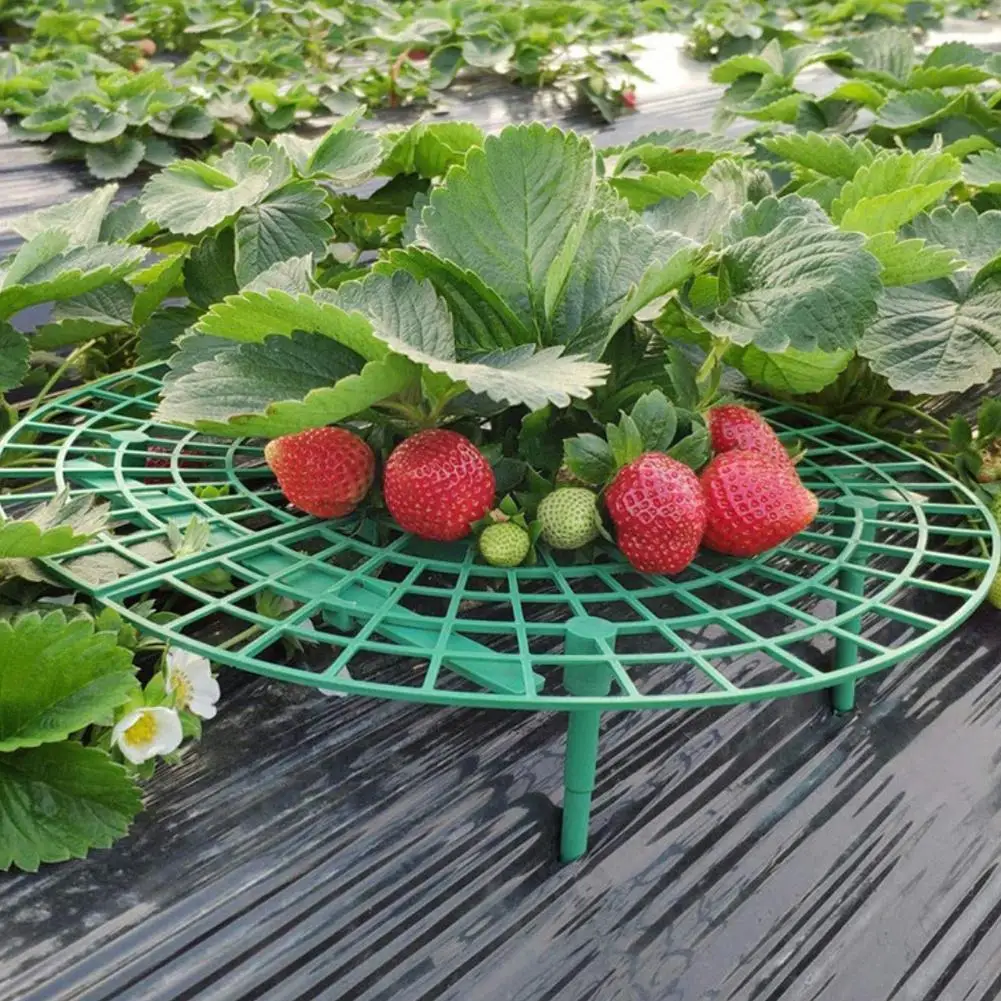 

30 * 30cm Strawberry Stand Frame Holder Balcony Planting Support Fruit Pillar Rack Plant Stand Gardening Vine Climbing Flow O8a1