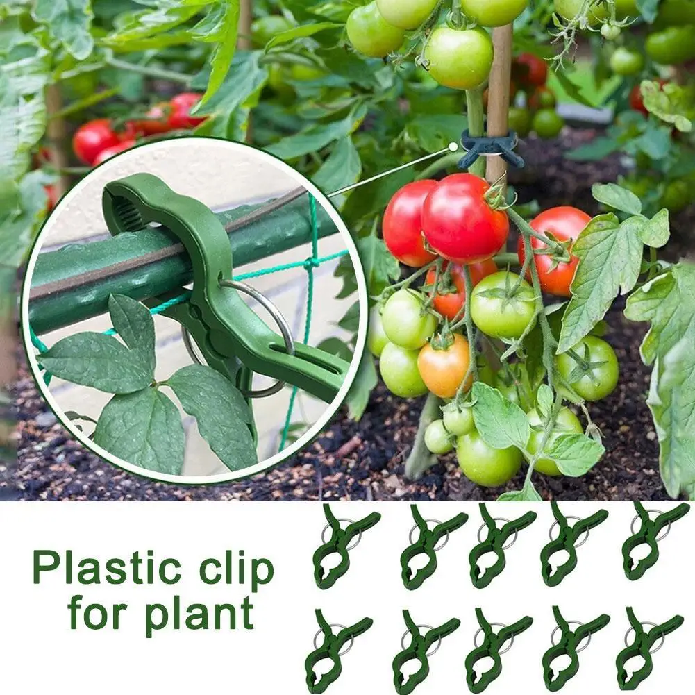 

20/30 шт., пластиковые зажимы для фиксации растений