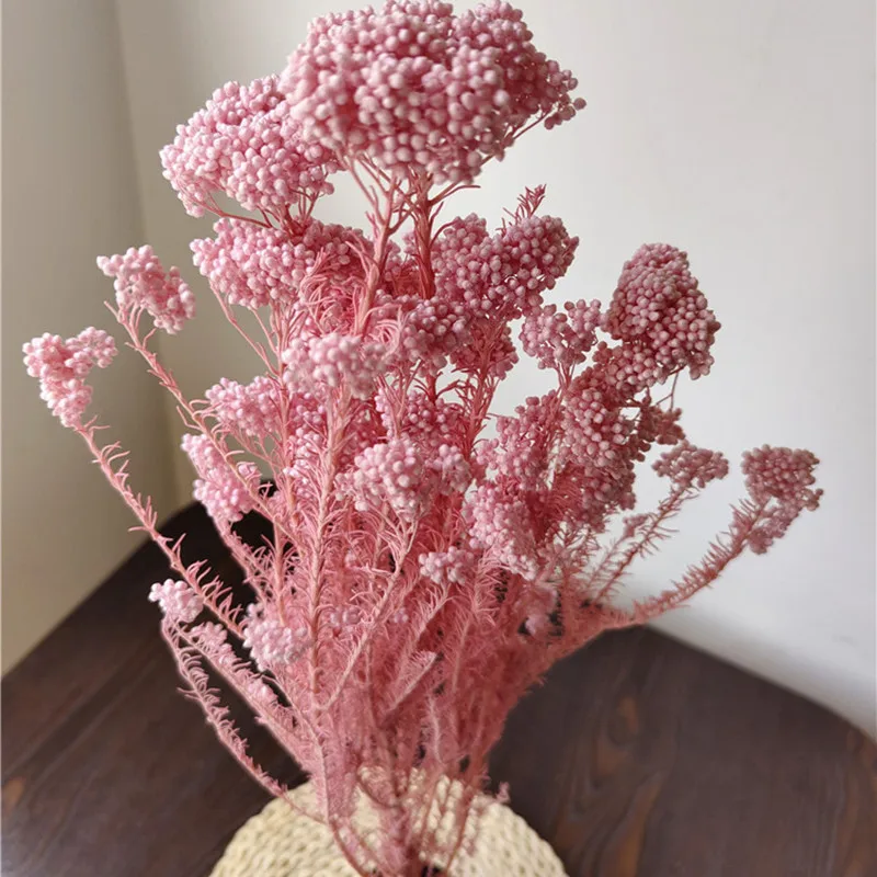 50g Natural Millet Fruit Dried Flower Artificial  living Room Decoration Wedding Decoration Bedroomgarden Decoration Outdoor images - 6