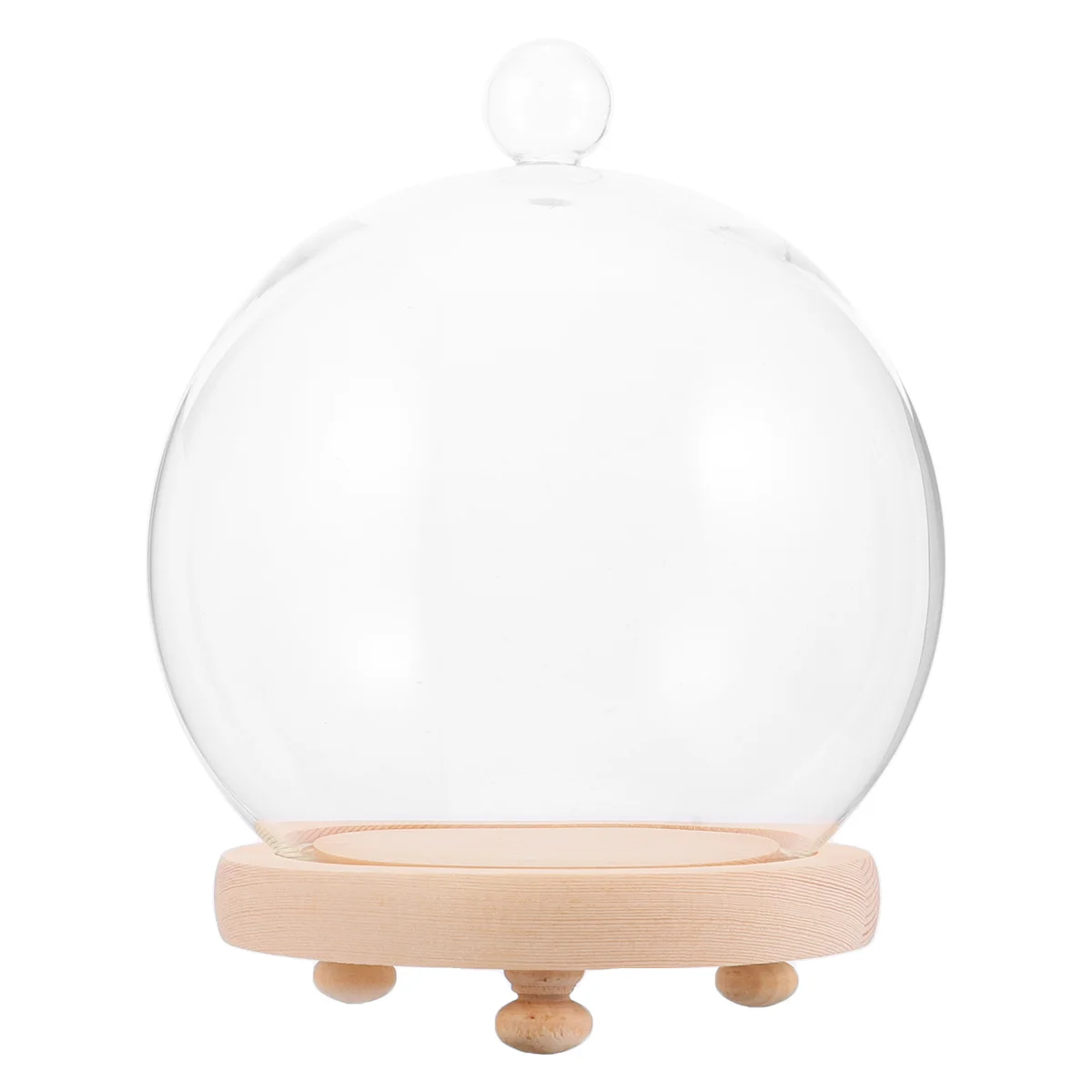 

Domedisplay Cover Cloche Jar Bell Cake Miniflowerbase Terrarium Case Eternal Rose Clear Box Decorativecheese Örtüsü Çiçek