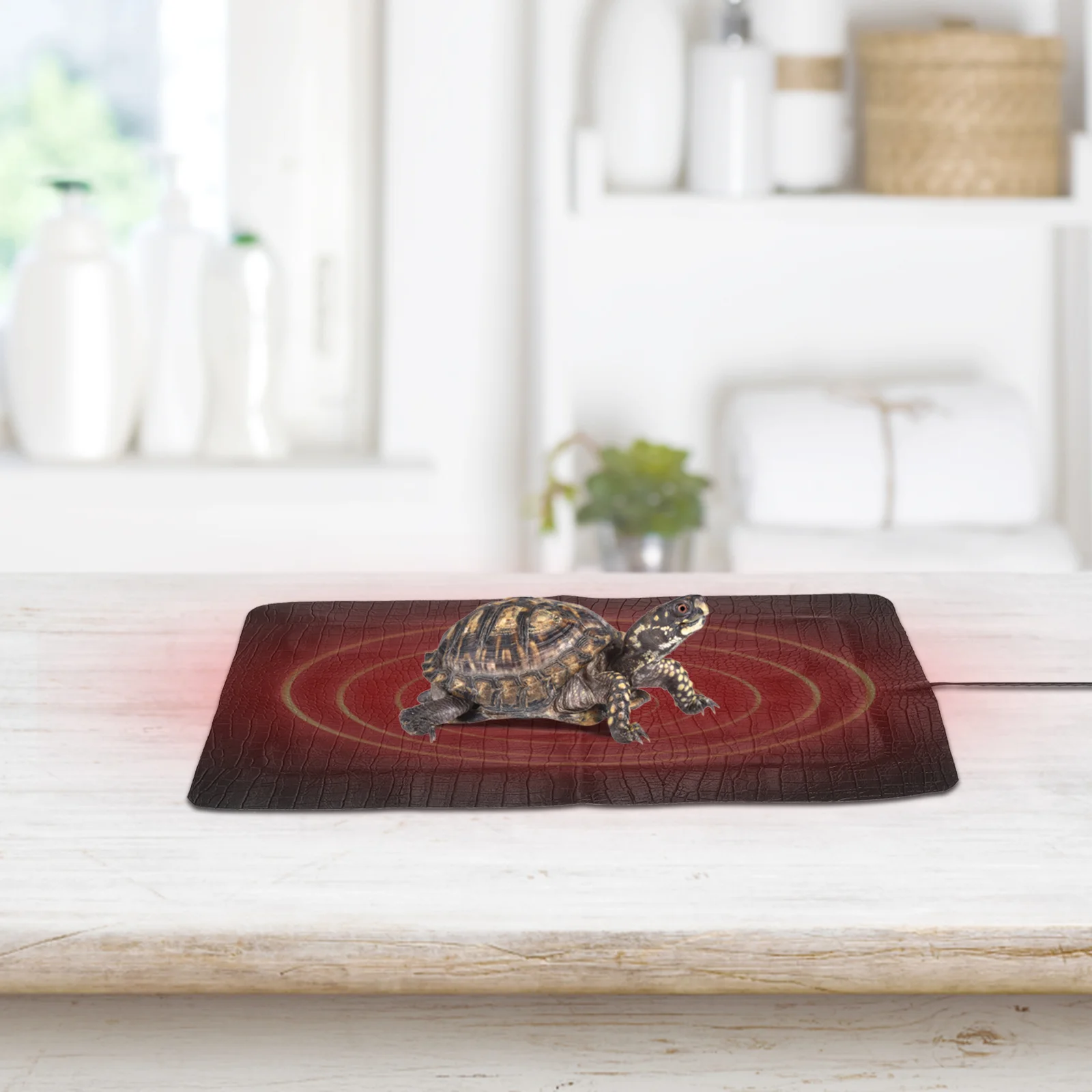 

Reptile Pet Heating Cushion Safe USB Heater Pad Useful Pet Supply (Random Color)