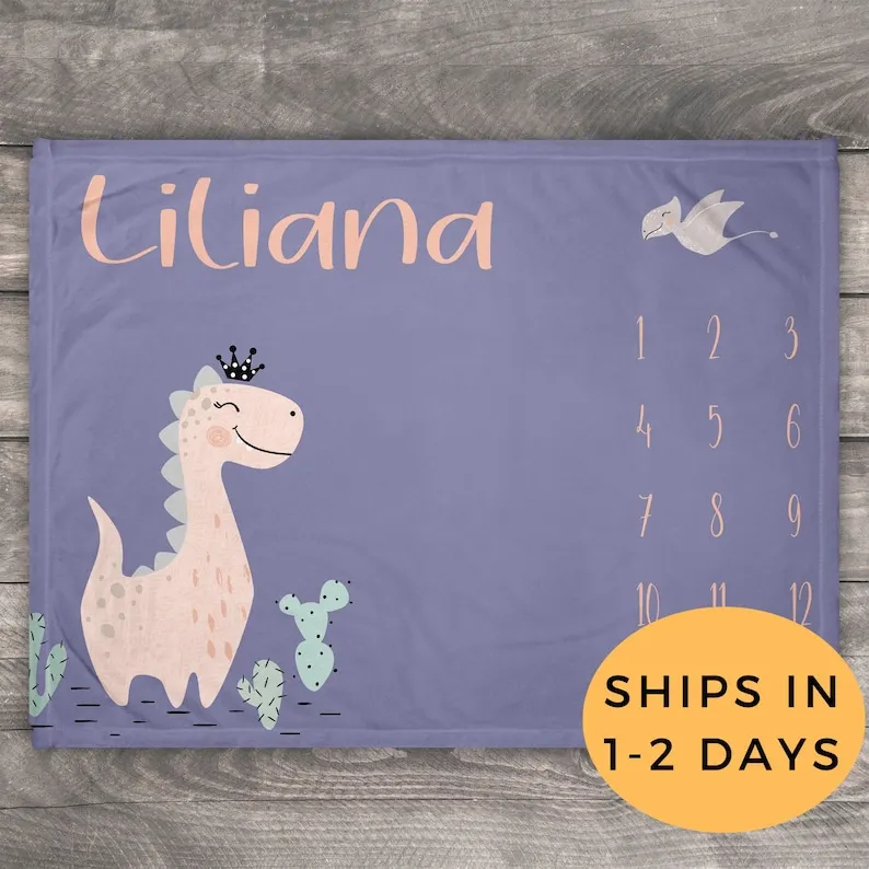 

Milestone Blanket Dinosaur, Personalized Dinosaur, Dinosaur Nursery, Dinosaur Baby Shower, Monthly Baby Blanket, Custom Photo Bl
