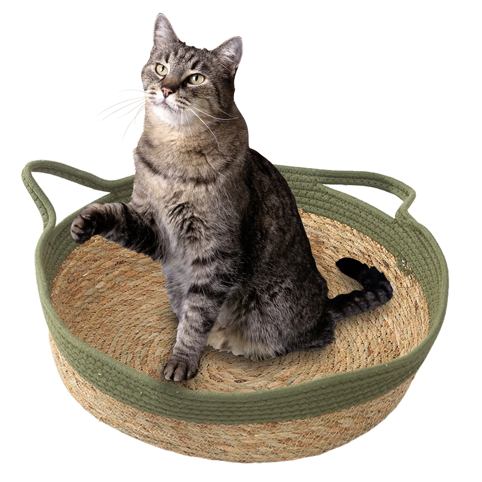 

Wicker Cat Bed Summer Sleeping Mat For Dogs Cats Cool Pad Hand Woven Cat Bed With Handles For Small Medium Pets Puppy Kitten