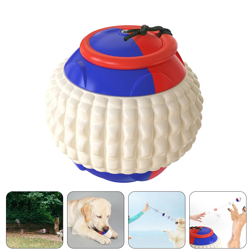 

Interesting Dog Multi-function Puppy Portable Molar Puppy Supply