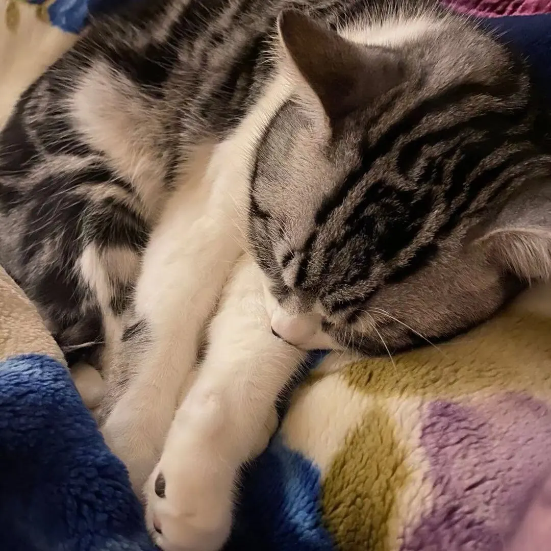 

[NN] rongyao_testItem_ASW_02