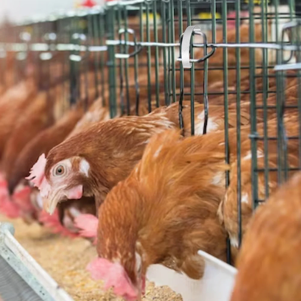 Клетка для собак карабин пряжка аксессуары кроликов клетка птиц дверная защелка