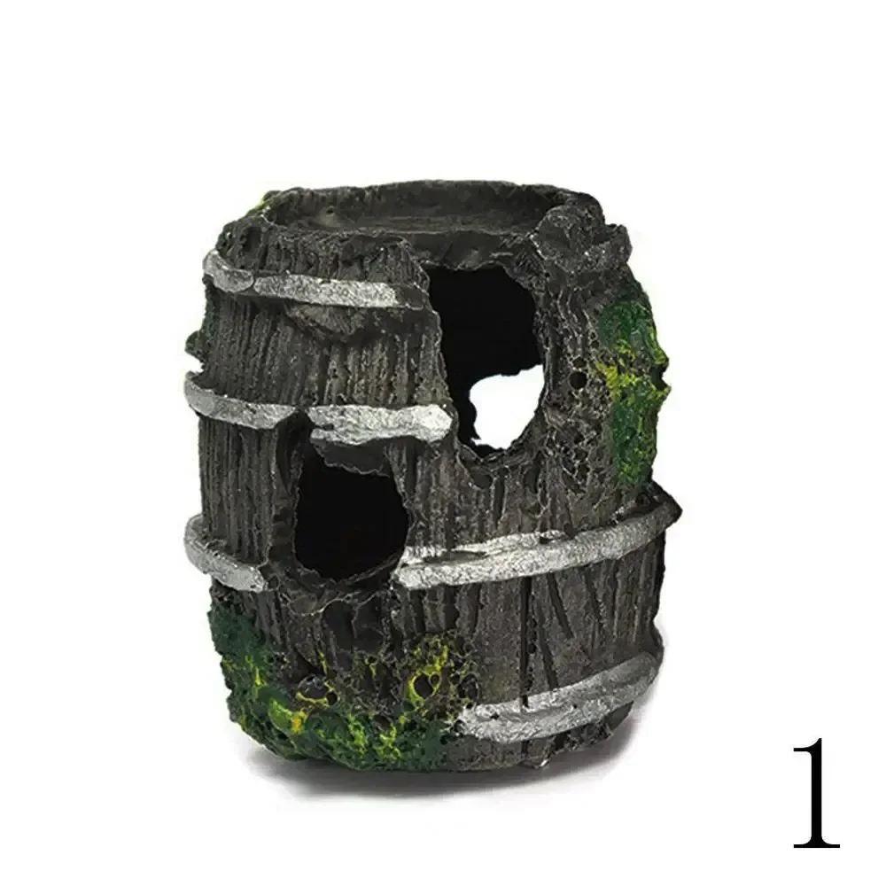 Входите в потрясающее незабываемое погружение чтобы открыть для себя