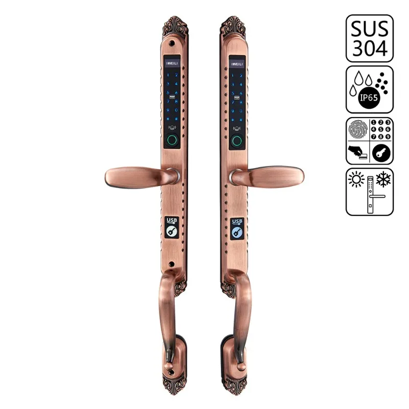 Умный дверной замок для виллы, двухсторонняя кодовая система ...