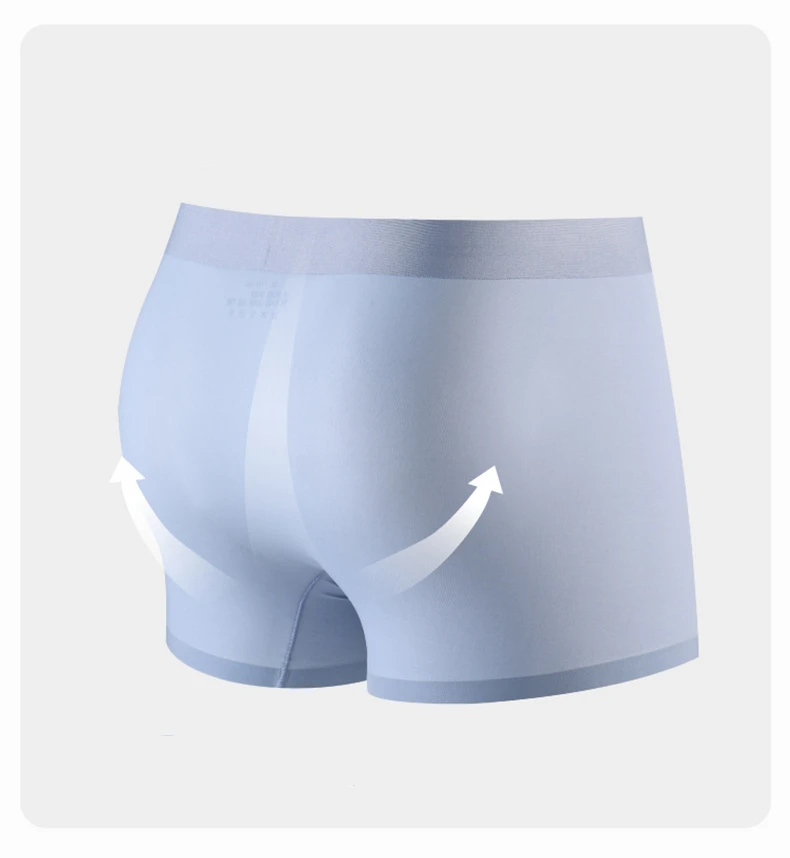 Summer 50g Ice Silk Men's Quick Drying Boxer Shorts Breathable Ultra Thin Translucent Underpants Wholesale Youth Nylon Underwear