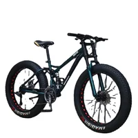 Popular Good for Exercise Variable Speed Fat Tire Fat Wheel Mountain Dirt Bike for Adult