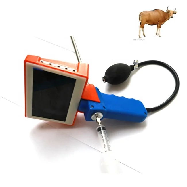 

Ветеринарный/для животных/для крупного рогатого скота/для коров/для буйвола/для воспроизведения/для искусственного осеменения спермы AI Gun